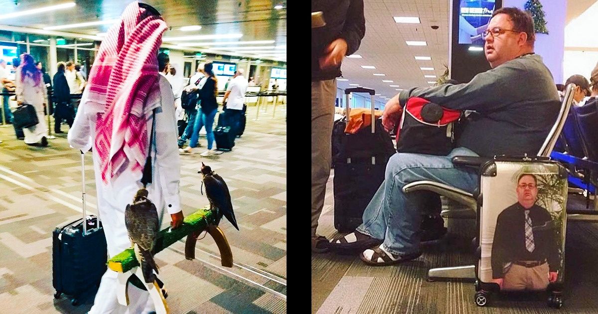 15+ Crazy Things That Could Only Happen at the Airport