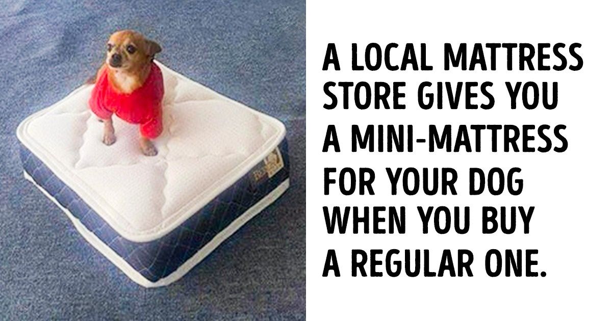 14 Things That Make Us Believe This World Is Becoming a Better Place