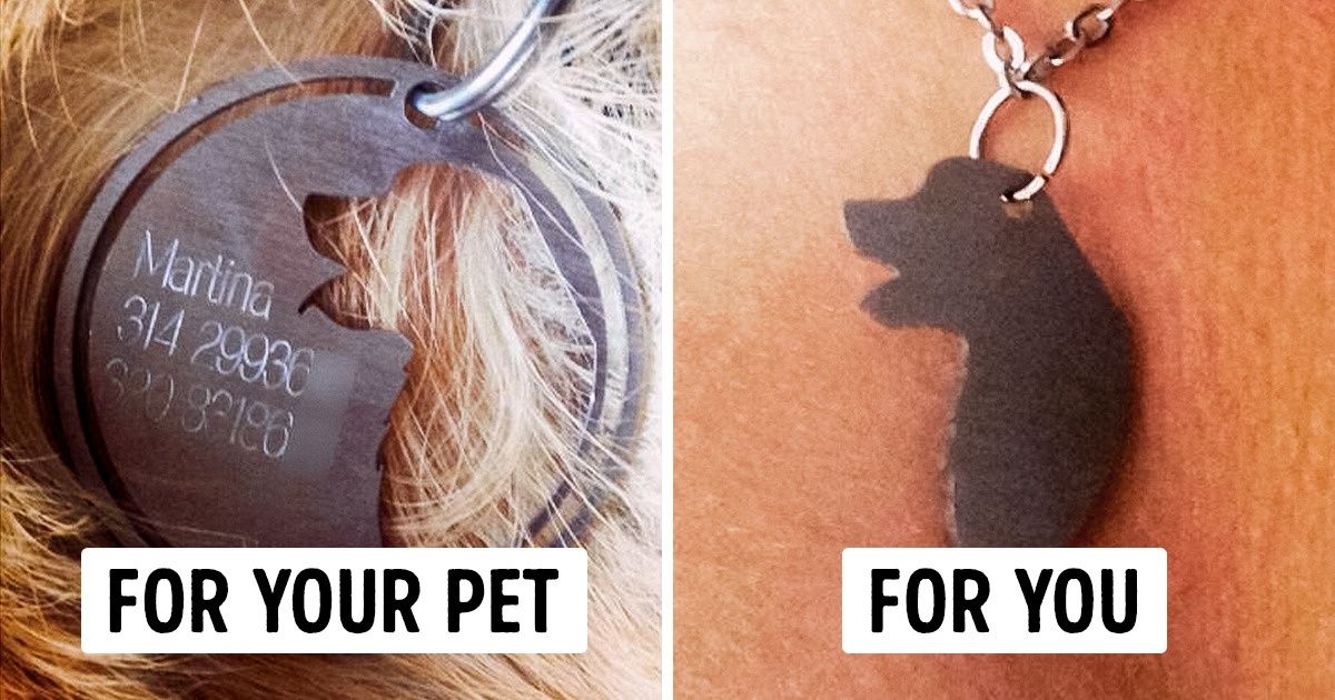 4 Things That Speak About Your Love for Your Pet Louder Than Words