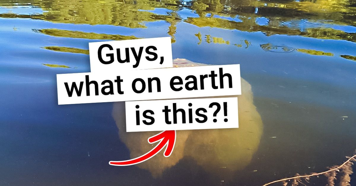 20+ Wonders of Nature That Can Send Chills Down Your Spine