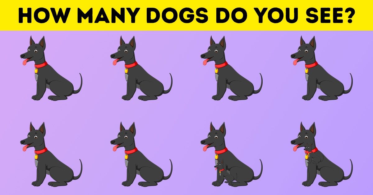 Test: See How Attentive You Are by Solving These 15 Puzzles