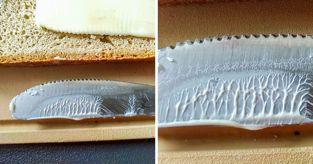11 Accidental Things That Left Us in Awe 11 Accidental Things That Left Us in Awe