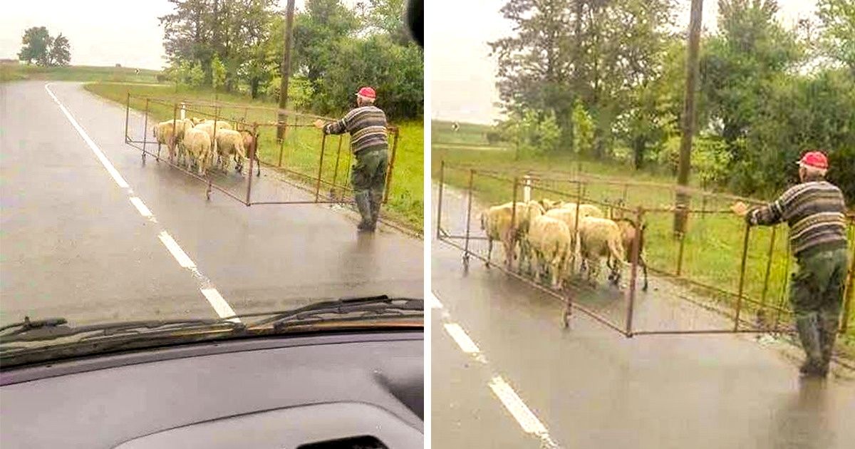 15 Men Who Can Handle Any Impossible Mission