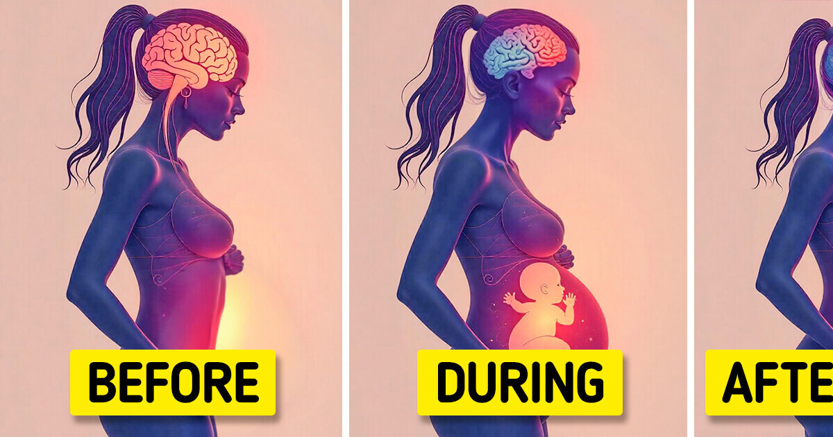 Pregnancy Changes Your Brain Forever, Study Finds Pregnancy Changes Your Brain Forever, Study Finds