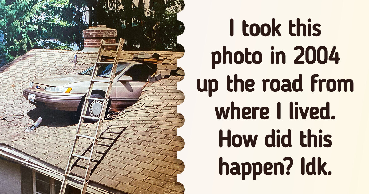 16 Glorious Shots That Will Perk Up Your Mood