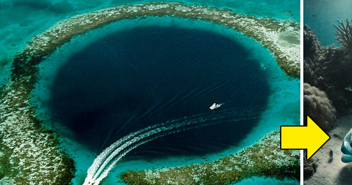 Explorers Dive to the Bottom of the Great Blue Hole and Reveal a Shocking Secret Explorers Dive to the Bottom of the Great Blue Hole and Reveal a Shocking Secret