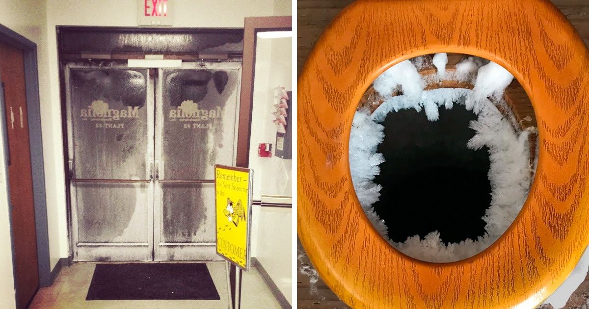20 Pics That’ll Give You a Brain Freeze Through the Screen