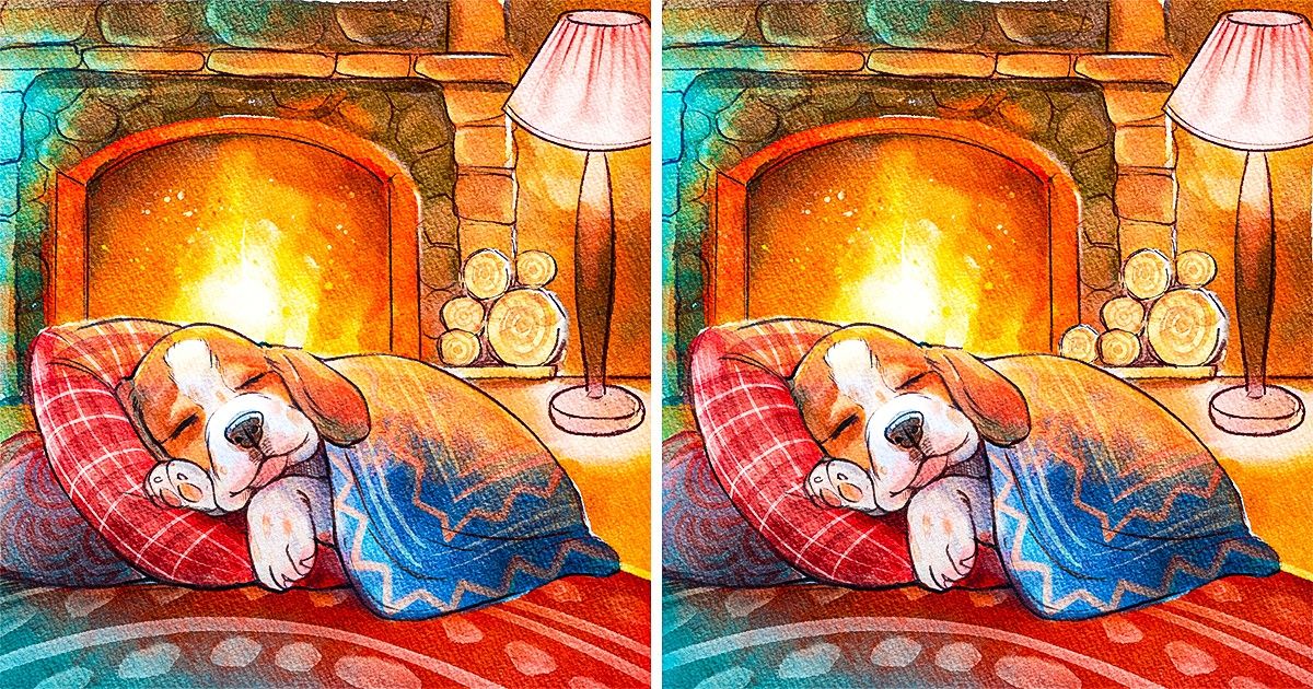 Test: Prove You’re a Hawk-Eyed Master by Spotting the 3 Differences in These Images