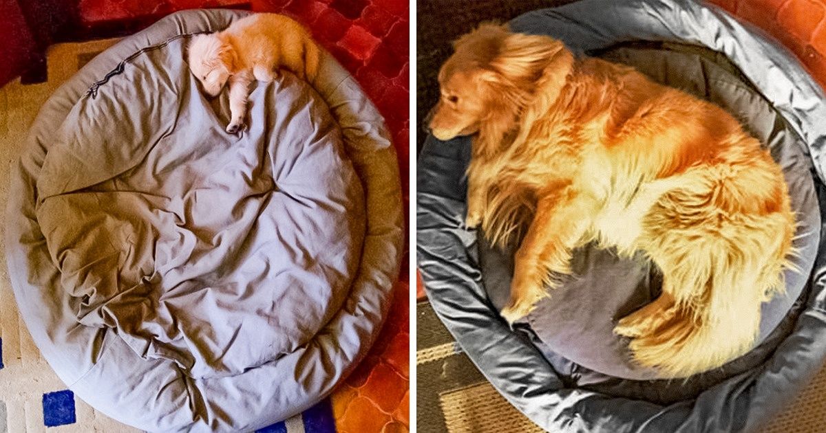 20+ Heartwarming Photos That Prove Time Goes Way Too Fast