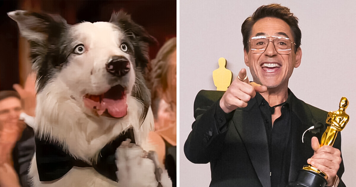 Messi, the Dog From ‘Anatomy of a Fall’, Goes Viral With Reaction to Robert Downey Jr. Win Messi, the Dog From ‘Anatomy of a Fall’, Goes Viral With Reaction to Robert Downey Jr. Win