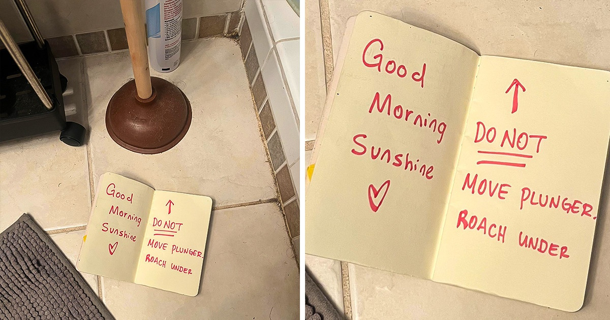 15 People That Could Erase Your Gray Mood in an Instant