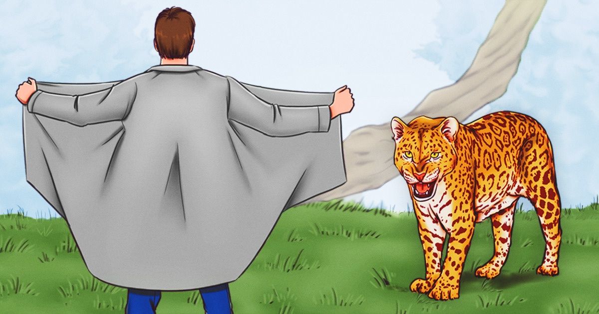 8 Tips for How to Save Yourself If You Bump Into a Wild Animal 8 Tips for How to Save Yourself If You Bump Into a Wild Animal