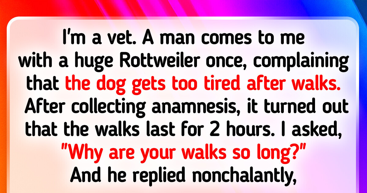 20+ Stories That Prove Walking Your Pet Can Be an Exciting Adventure 20+ Stories That Prove Walking Your Pet Can Be an Exciting Adventure