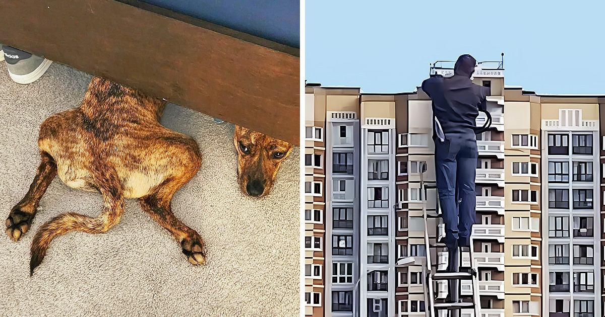 15 Confusing Pics That Put Our Imaginations in Overdrive