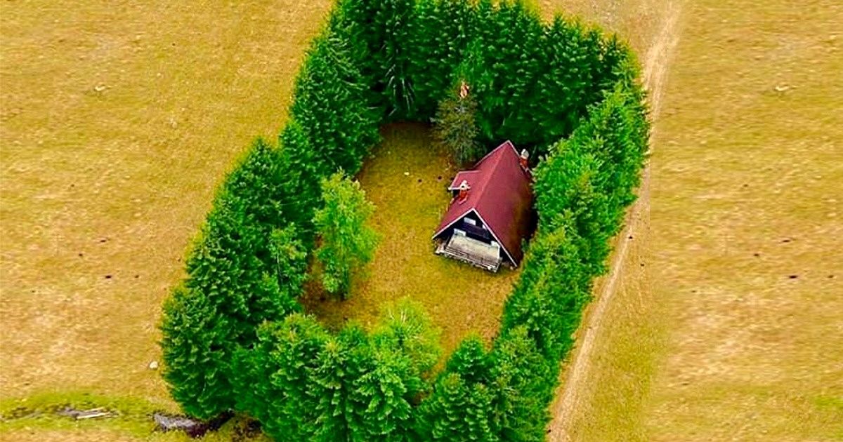 16 Isolated Houses That Can Bring Peace to Your Soul