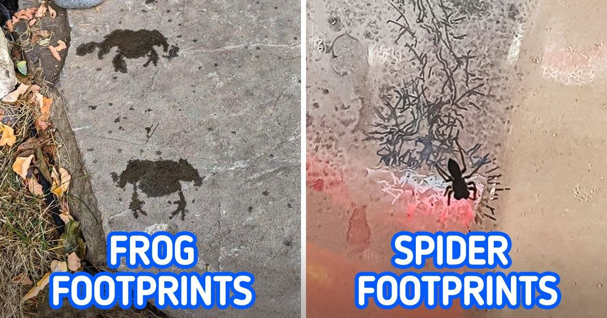 20 Times People Received an Unexpected Greeting From Mother Nature