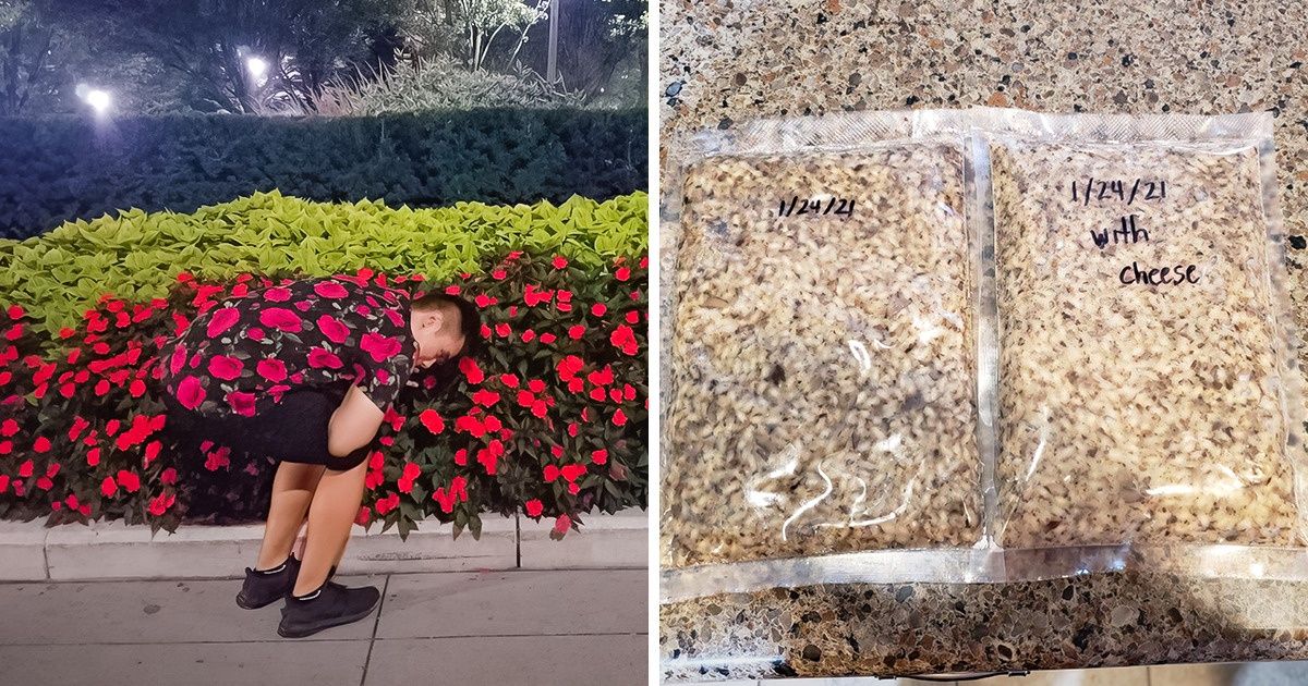 20 Perfect Pics That Are Worthy of a Chef’s Kiss