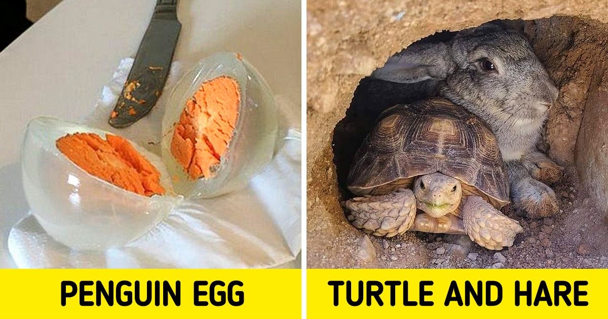 15 People Who Were Lucky to Capture Their Own Miracle 15 People Who Were Lucky to Capture Their Own Miracle