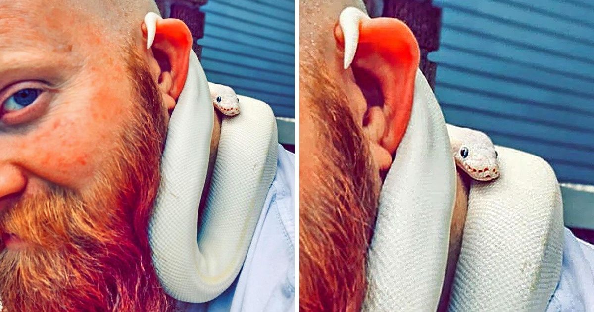 People Are Putting Their Pets on Their Shoulder in a New Trend and It Might Be the Cutest One Yet
