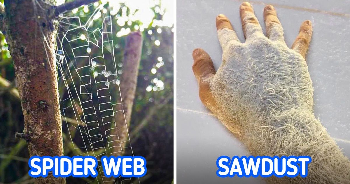 19 Times Nature Got an Unexpected Facelift 19 Times Nature Got an Unexpected Facelift