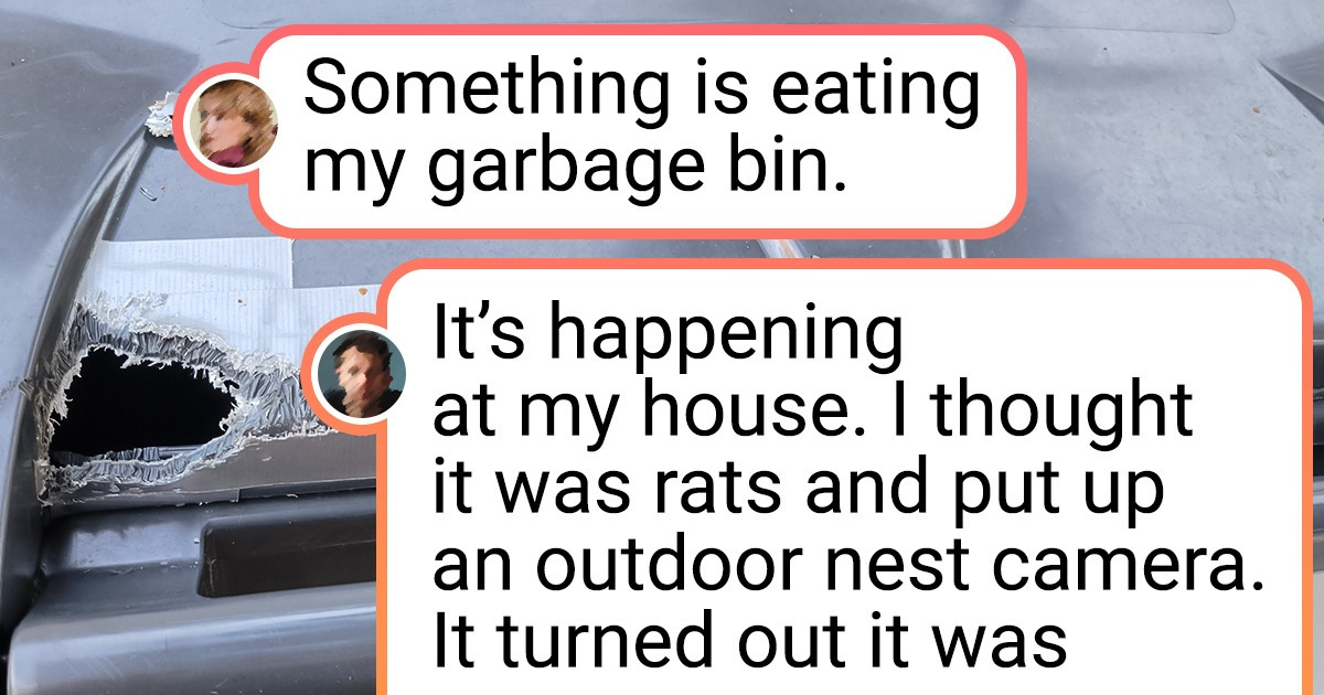 17 Mysterious Photos That Can Put Your Nervous System to the Test