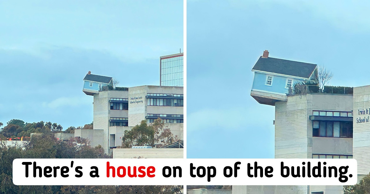 15+ Times People Found Something So Out of the Box, It’s Hard to Believe It Actually Exists