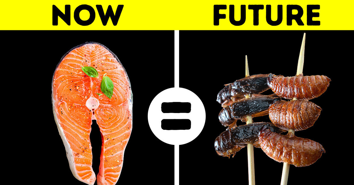 Get Ready to Eat Bugs || The Future of Farming Get Ready to Eat Bugs || The Future of Farming