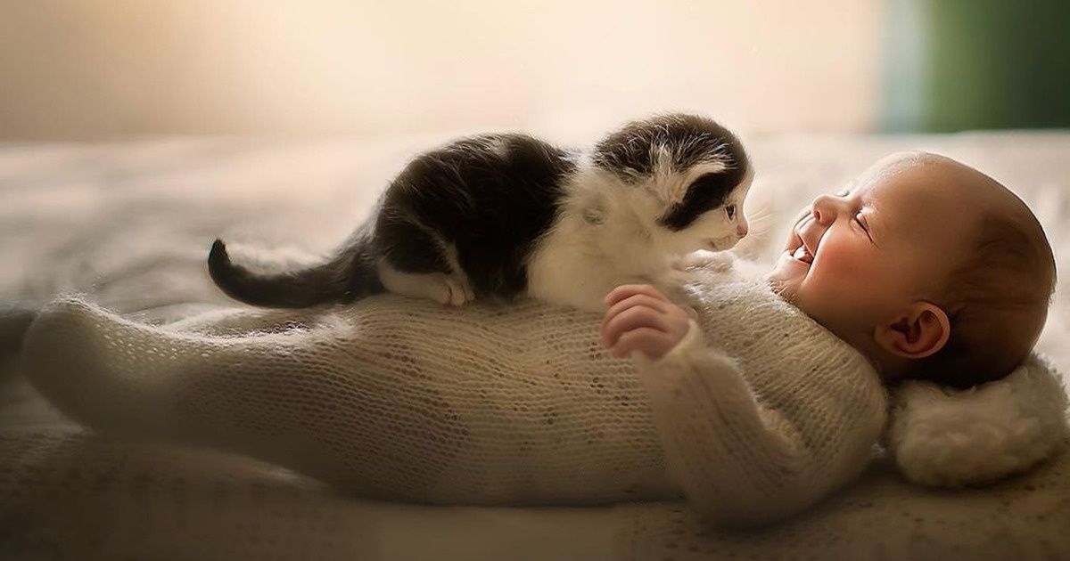 Photographer Captures Kids Snuggling With Furry Friends and We Can’t Believe How Aww-Dorable They Are Photographer Captures Kids Snuggling With Furry Friends and We Can’t Believe How Aww-Dorable They Are