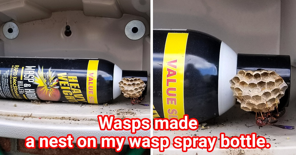 20 Times People Captured Ironic Moments That Can Give You a Good Chuckle