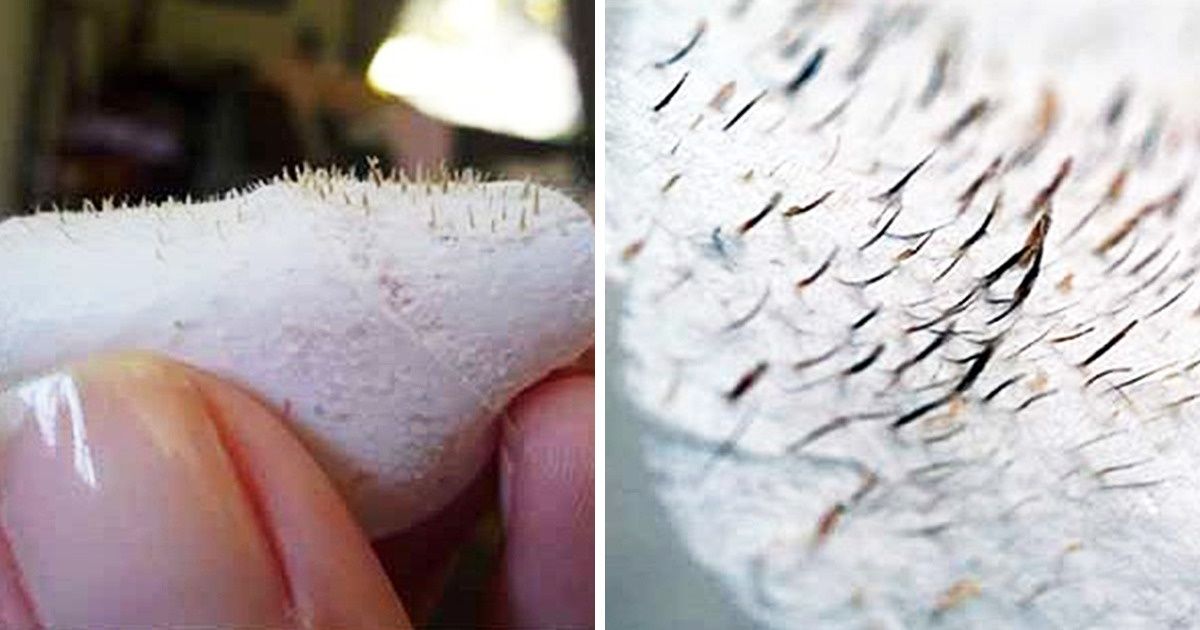 15 Beauty Tips That Can Make Any Girl Breathe a Sigh of Excitement