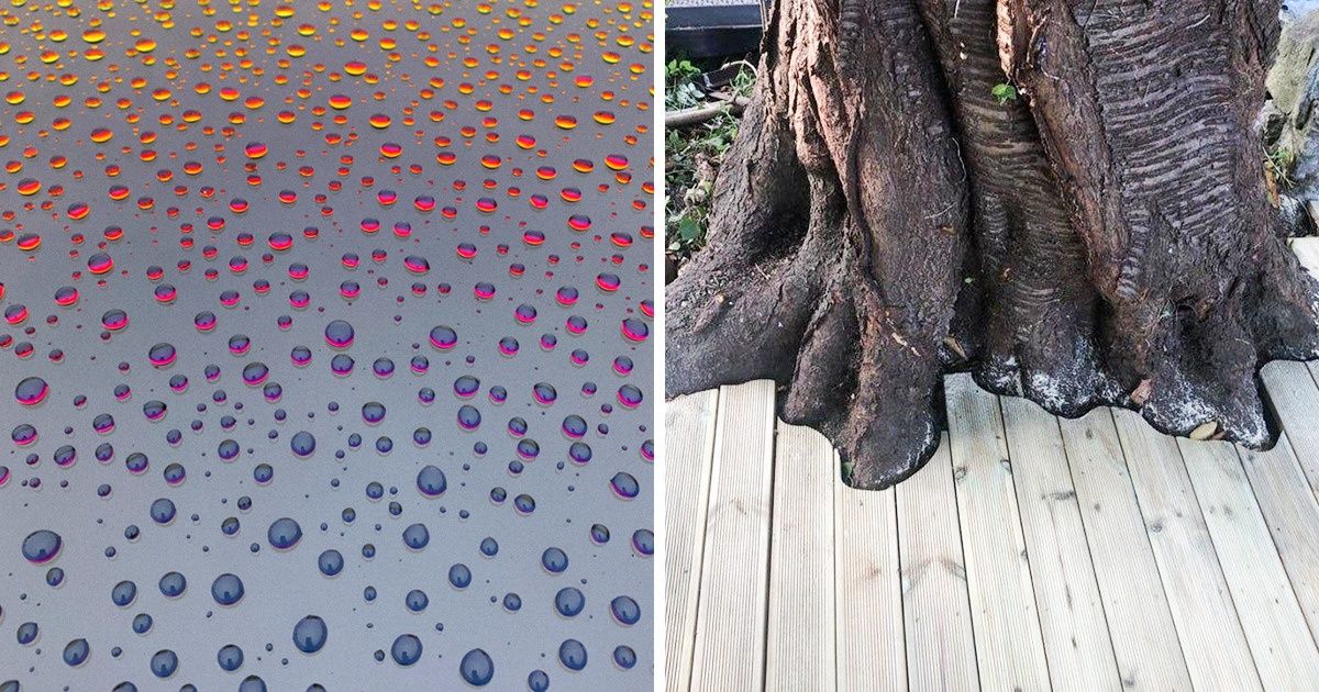 20 Pics That Can Make Your Inner Perfectionist Rejoice