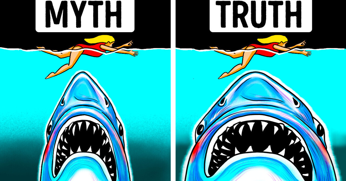 Biggest Myths About Megalodon Movies Made Us Believe Biggest Myths About Megalodon Movies Made Us Believe