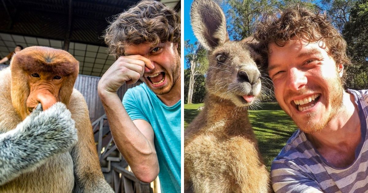 A Traveler Takes Selfies With Furry Friends He Meets on His Way, and They’re Sure to Make Your Day
