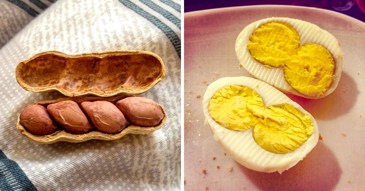 20+ People Who Hit the Jackpot at the Grocery Store (New Pics)