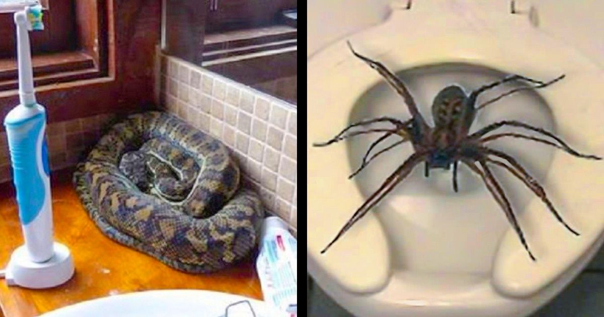 14 Reasons Why Australia Makes This World a Special Place