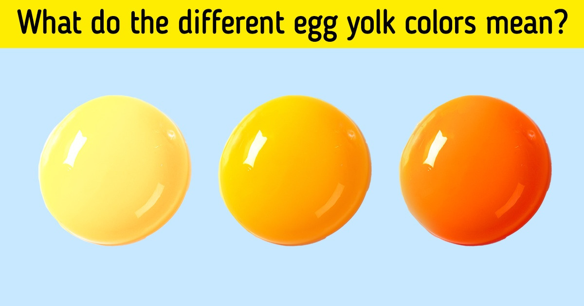 12 Facts About Ordinary Things That You Might Not Know, but You Definitely Should