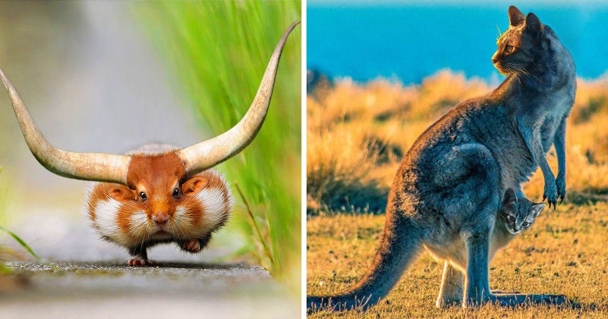 Reddit Users Are Mixing Animals in Photoshop, and We Can’t Wait to See How Far They’ve Gone