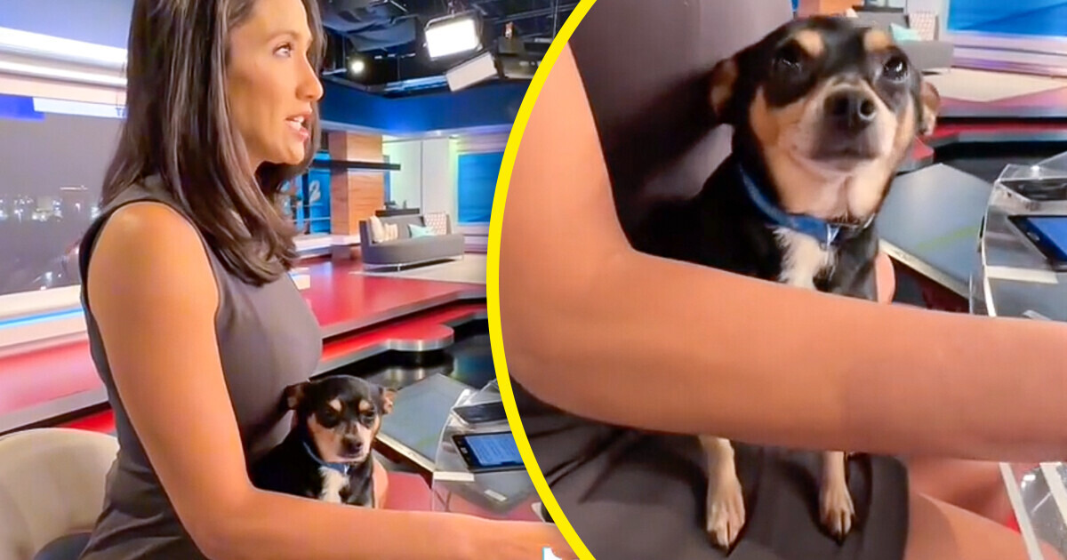 15 People Who Prove That Pets Are Just Like Family