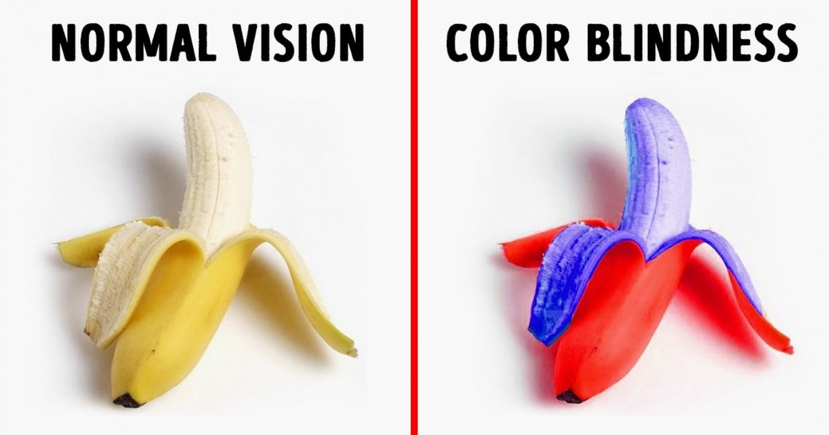 b-medical-how-people-with-different-kinds-of-color-blindness-see-the