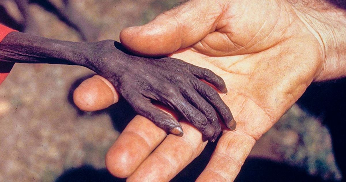 13 Photos That Will Move Even the Toughest People 13 Photos That Will Move Even the Toughest People