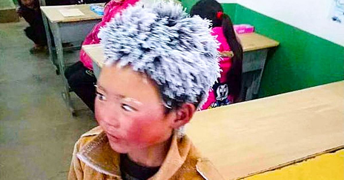 People Collected $450,000 for the “Ice Boy” That Walked to Take an Exam Despite the Freezing Weather People Collected $450,000 for the “Ice Boy” That Walked to Take an Exam Despite the Freezing Weather