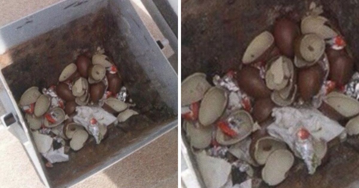 30+ Cases That Made People Exclaim “Nooo, Why?” 30+ Cases That Made People Exclaim “Nooo, Why?”