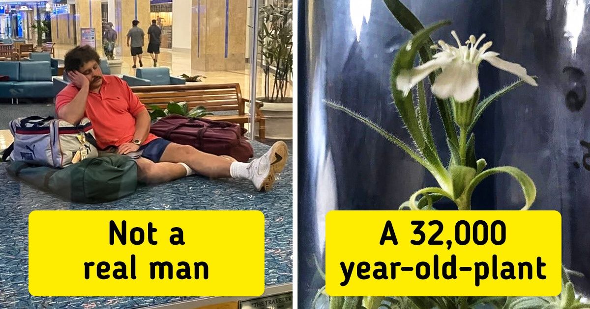 11 Things We Had No Idea Existed, and Now We Can’t Forget