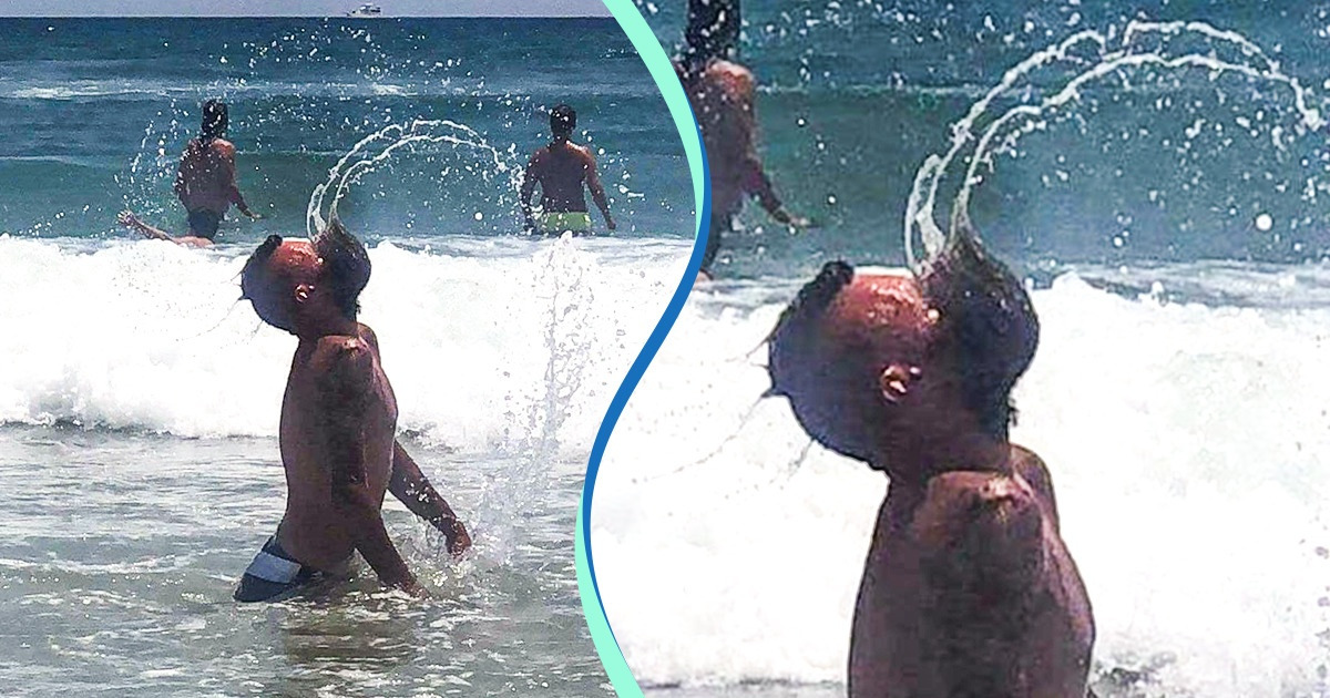 15 Pictures Showing What a Perfect “Palship” Really Looks Like