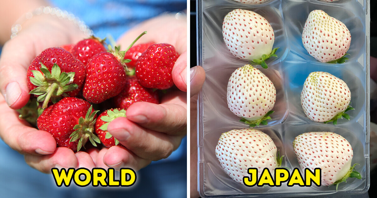16 Awesome and Weird Things You’ll Find Only in Japan
