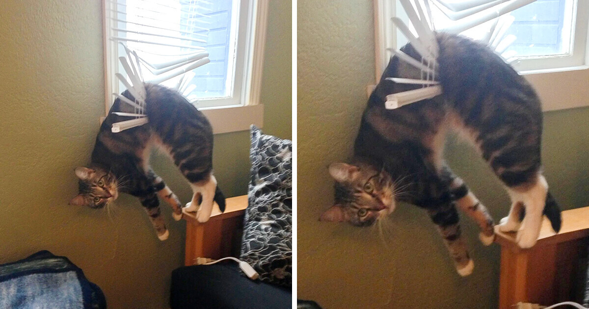 19 Unlucky Moments When Life Refused to Cooperate