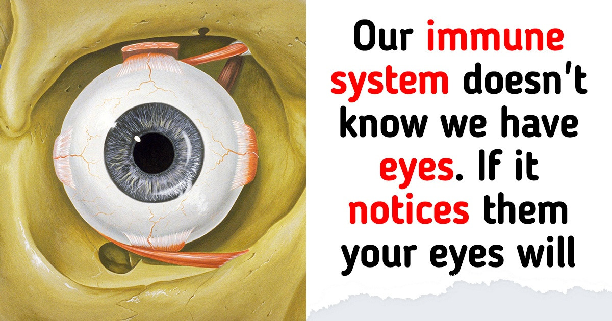 10 Facts About the Human Body That May Leave You Questioning Everything