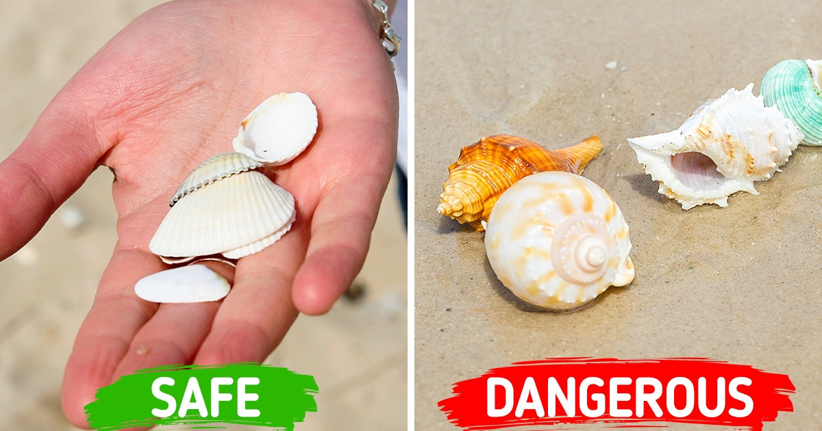 6 Times the Beach Proved to Be the Ultimate Place for Mysteries