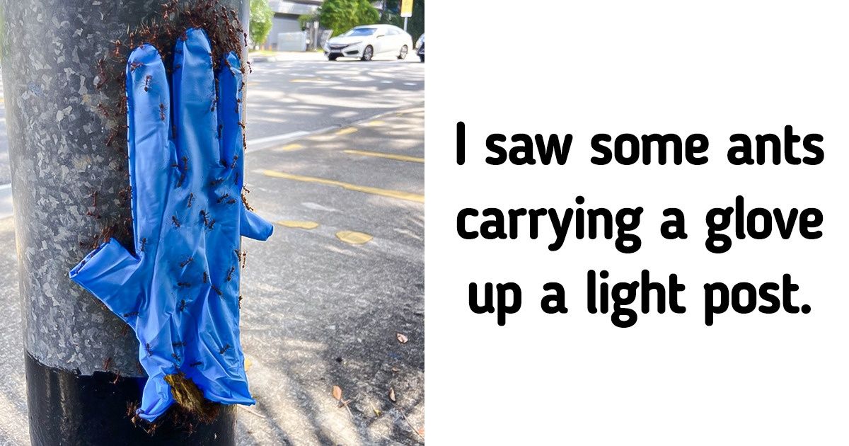 15 Pics That Prove There’s Always a Place for Wonder in Our Life
