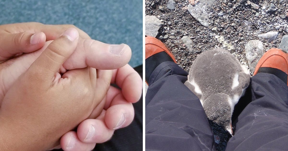 18 Times Adoption Became the Best Choice in Life